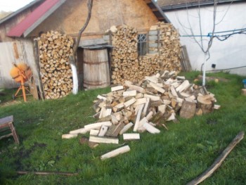 martie 2015 019.JPG