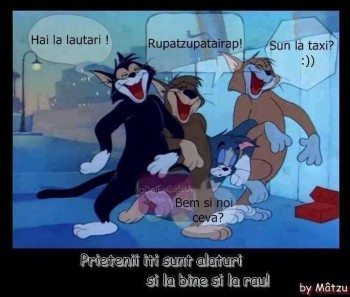 Prietenii iti sunt alaturi.jpg