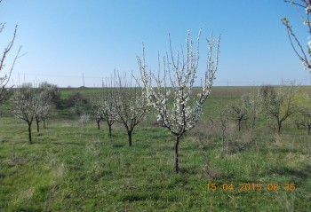 rsz_1picture_066.jpg