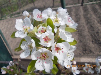 rsz_1picture_069.jpg