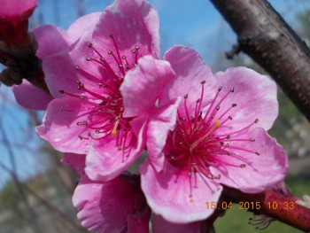 rsz_2picture_071.jpg