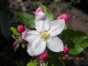 rsz_1picture_075.jpg