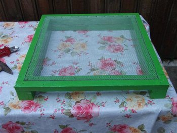 DSCF1505 (Small).JPG