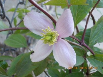 rsz_1picture_014.jpg