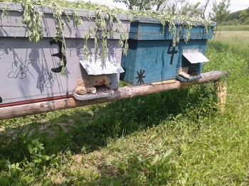 2015-05-17 14.37.10.jpg