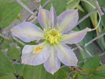 rsz_1picture_008.jpg