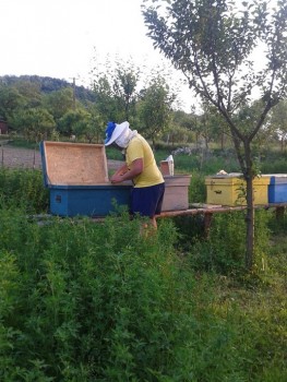 2015-05-20 19.51.57.jpg