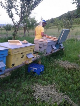 2015-05-20 19.54.07.jpg