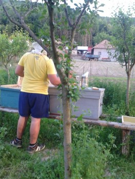 2015-05-20 19.54.20.jpg