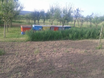 2015-05-22 18.47.21.jpg