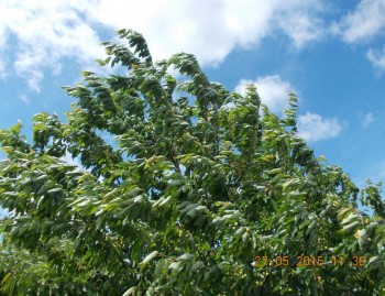 rsz_3picture_002.jpg