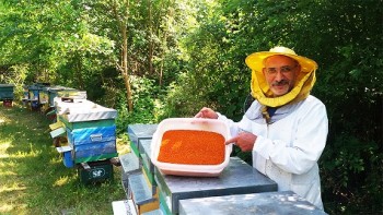 Polen Bulci Giani.jpg