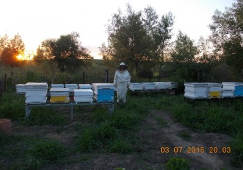 rsz_1picture_010.jpg