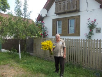 flori si altele 013.JPG