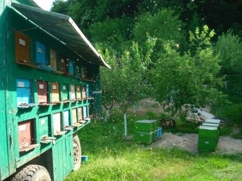 11391785_293553234102379_7322412423111567562_n.jpg