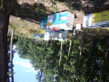 20150728_111437.jpg