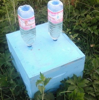 20150808_062335.jpg