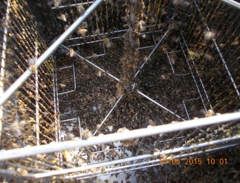 rsz_4picture_002.jpg