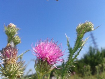 rsz_20150624_095017.jpg