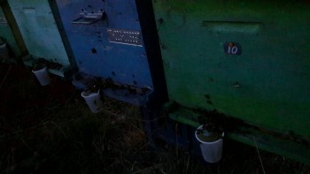 img20150827_004020.jpg