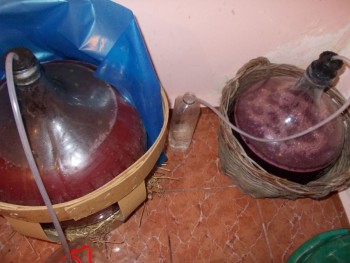 b 014.JPG