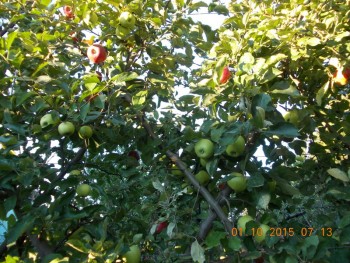 rsz_1picture_004.jpg