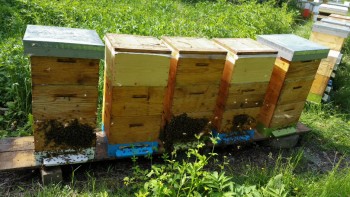 2015-05-19 20.46.14.jpg