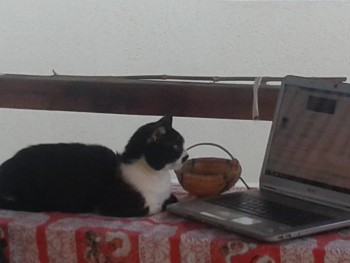 rsz_20151003_174147.jpg