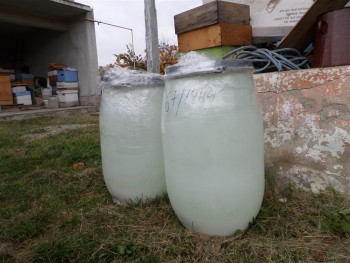 hidrolizat1 (Medium).JPG