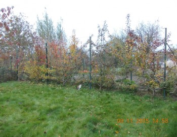 rsz_2picture_089.jpg
