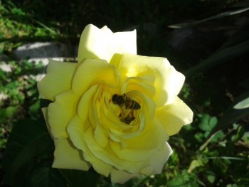 rsz_20141004_144243.jpg