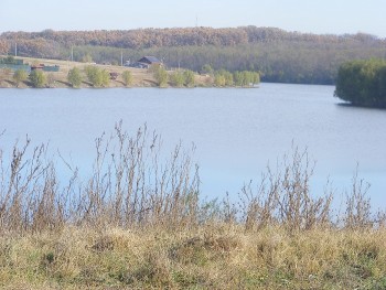 062.JPG