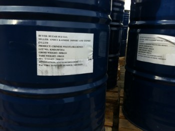 IMG_1375.JPG