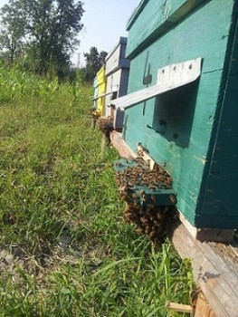20140813_180403.jpg