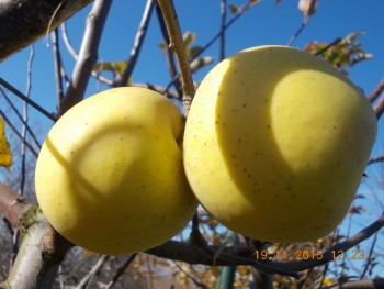 rsz_picture_069.jpg