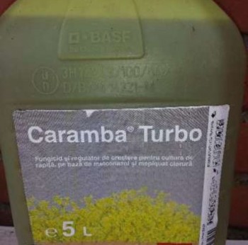 caramba a.jpg