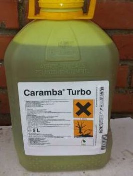 caramba b.jpg