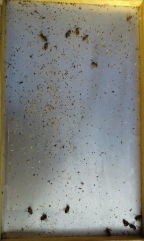 002 (Copy).jpg