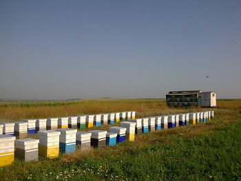 Copy of Je002.jpg