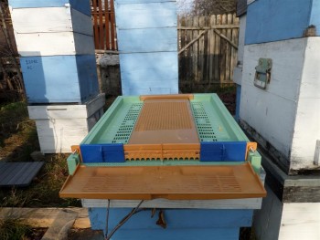 colector_fund_det (Medium).JPG