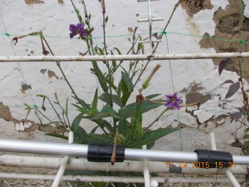 rsz_1picture_013.jpg