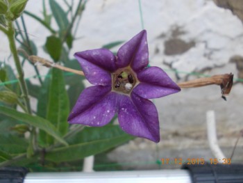 rsz_picture_011.jpg