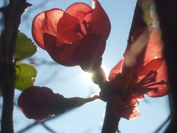 20151227_115542.jpg