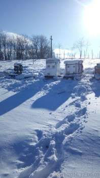 rsz_img_20160108_120002.jpg