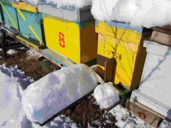 rsz_2016-01-19_105059.jpg