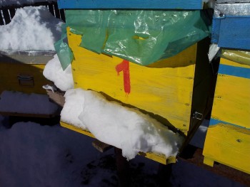 rsz_2016-01-19_105333.jpg