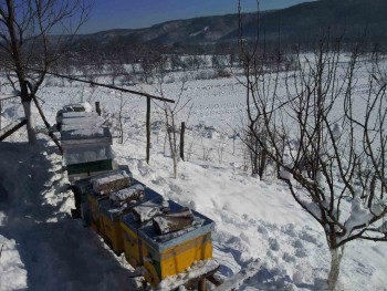 rsz_2016-01-19_111953.jpg