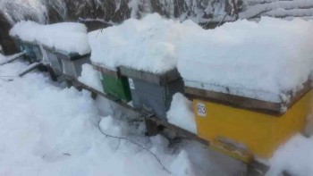 20160119_101936_1024x576-1.jpg