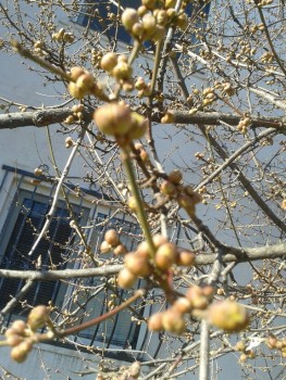 rsz_20160130_112424.jpg