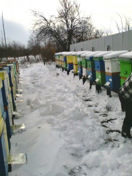 IMG00190.jpg
